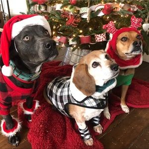 Look for BOGO FREE deals!